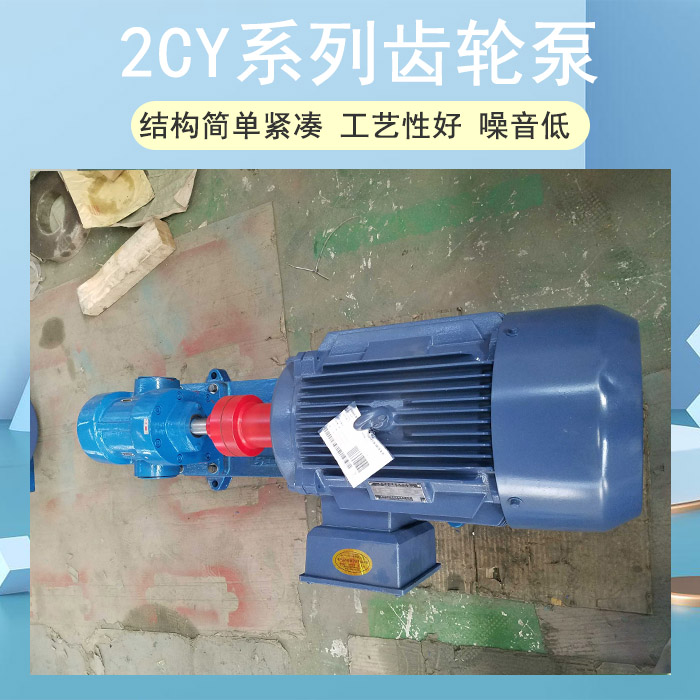 2CY齿轮泵