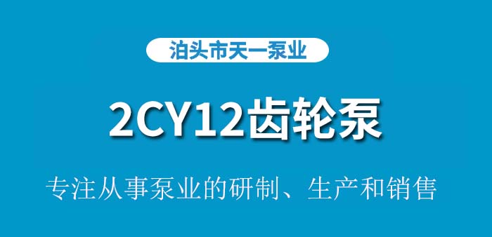 <strong>2CY12齿轮泵</strong>