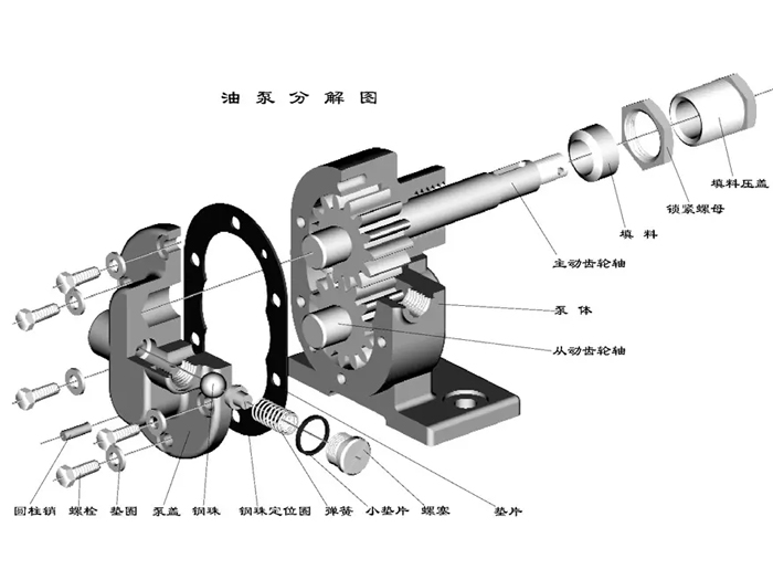 <strong>2CY系列齿轮泵</strong>的结构图