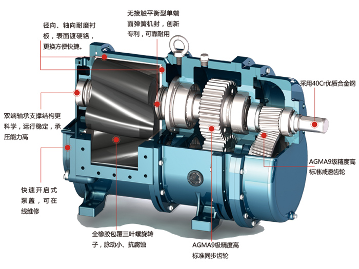 凸轮转子泵的内部结构剖面图