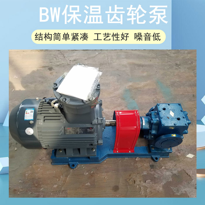 <strong>BW保温齿轮泵</strong>