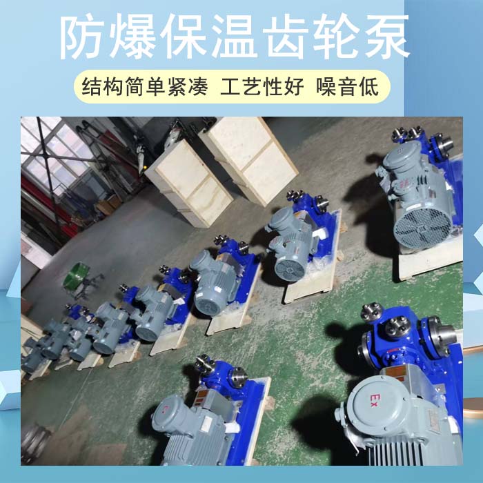 <strong>防爆保温齿轮泵</strong>
