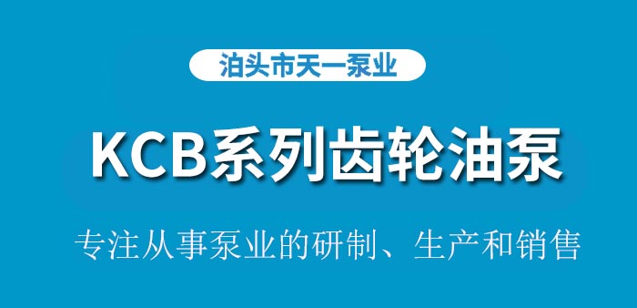 <strong>浙江KCB系列齿轮油泵</strong>