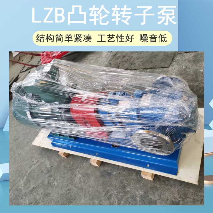 <strong>LZB凸轮转子泵</strong>