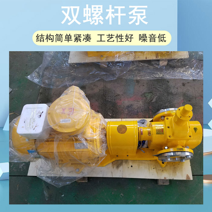 <strong>双螺杆泵</strong>