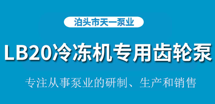浙江LB20/0.6冷冻机专用齿轮泵
