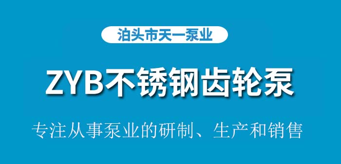 <strong>ZYB不锈钢齿轮泵</strong>
