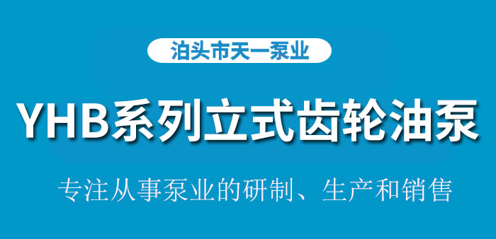 <strong>浙江YHB系列立式齿轮油泵</strong>