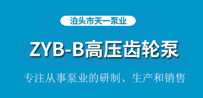 <strong>浙江ZYB-B高压齿轮泵</strong>